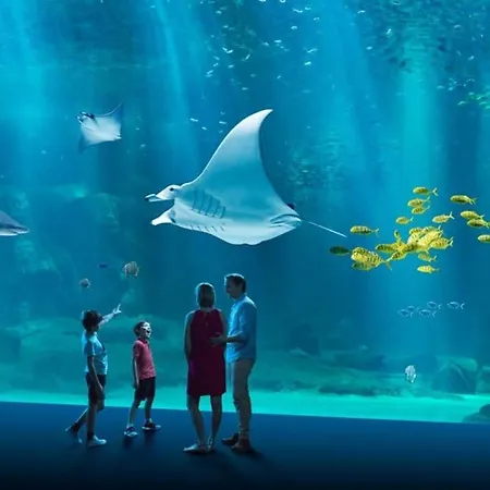 L'ecrin Marin - Face - ويميرو